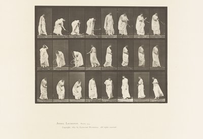 Tabliczka 299. Zabawa piłką autorstwa Eadweard Muybridge