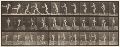 Płyta 301.Piłka nożna; Łotwa, 1885 autorstwa Eadweard Muybridge