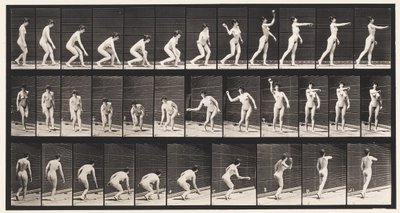 Płyta 303. Podnoszenie piłki i rzucanie nią, 1872-1885 autorstwa Eadweard Muybridge
