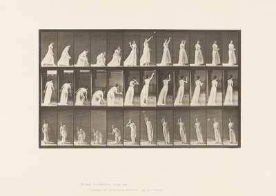 Płyta 305. Podnoszenie piłki i rzucanie nią, 1885 autorstwa Eadweard Muybridge