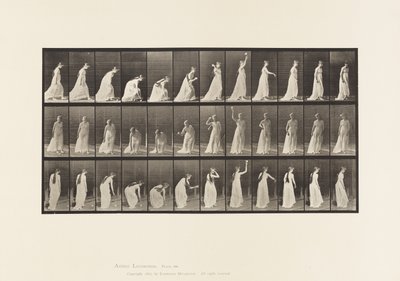 Płyta 306. Podnoszenie piłki i rzucanie nią, 1885 autorstwa Eadweard Muybridge