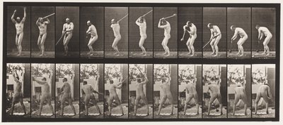 Płyta 308. Rzucanie młotem, 1885 autorstwa Eadweard Muybridge