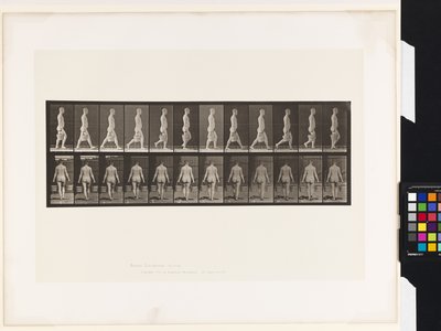 Płyta 30. Chodzenie, noszenie wiadra wody w każdej ręce autorstwa Eadweard Muybridge