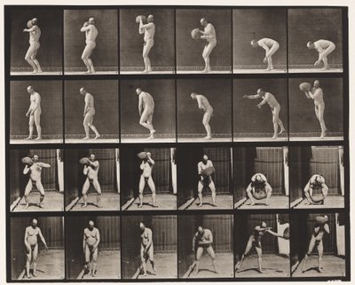 Płyta 312. Podnoszenie 75-funtowego kamienia autorstwa Eadweard Muybridge
