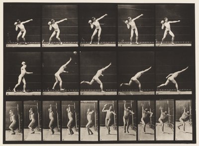 Płyta 314. Podnoszenie 20-funtowego kamienia autorstwa Eadweard Muybridge
