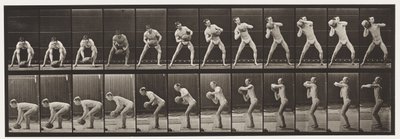 Płyta 318. Podnoszenie 75-funtowej skały, 1872-1885 autorstwa Eadweard Muybridge