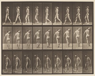 Płyta 31. Chodzenie, noszenie 75-funtowego kamienia na prawym ramieniu autorstwa Eadweard Muybridge