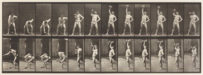 Płyta 320. Podnoszenie 50-funtowego głupiego dzwonka autorstwa Eadweard Muybridge