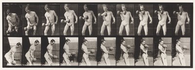Płyta 324. Curling 50-lb. Hantle, model, 3/4 długości autorstwa Eadweard Muybridge