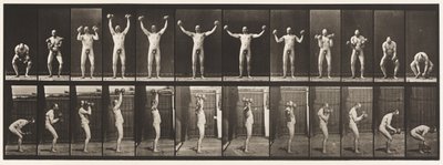 Płyta 325. Podnoszenie i przytrzymywanie Dwa 50-lb. Nieme dzwony, 1885 autorstwa Eadweard Muybridge