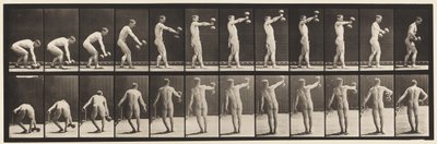 Płyta 326. Podnoszenie 50 funtów. Hantle na wyciągnięcie ręki autorstwa Eadweard Muybridge