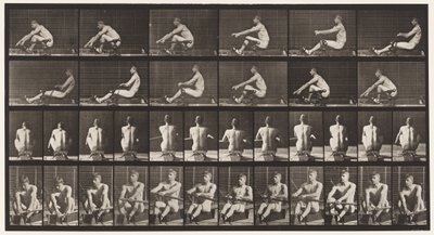 Płyta 327. Wioślarstwo autorstwa Eadweard Muybridge