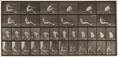 Płyta 328. Wioślarstwo autorstwa Eadweard Muybridge