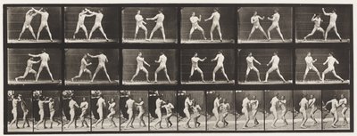 Płyta 329. Boks; (Obuwie) autorstwa Eadweard Muybridge