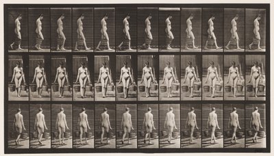 Płyta 32. Chodzenie, noszenie wiadra wody w każdej ręce autorstwa Eadweard Muybridge