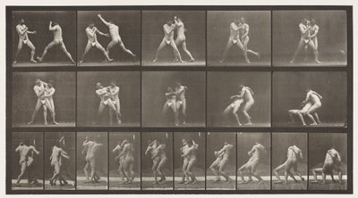 Płyta 331. Boks; Zatrzymaj się na krzyżowe pośladki autorstwa Eadweard Muybridge