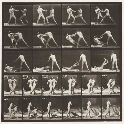 Płyta 333. Boks; 53 Powalenie 52 (Buty) autorstwa Eadweard Muybridge