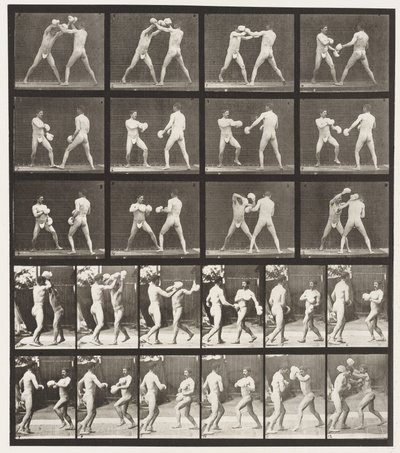 Płyta 334. Boks; Z Rękawiczkami (Buty) autorstwa Eadweard Muybridge