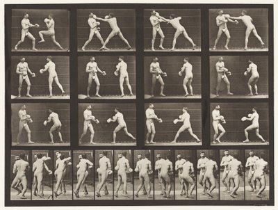 Płyta 335. Boks; Z Rękawiczkami autorstwa Eadweard Muybridge