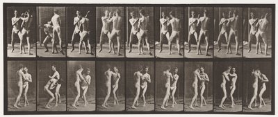 Płyta 337. Boks; Otwarta dłoń autorstwa Eadweard Muybridge