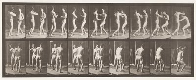 Płyta 339. Boks; Otwarta dłoń autorstwa Eadweard Muybridge