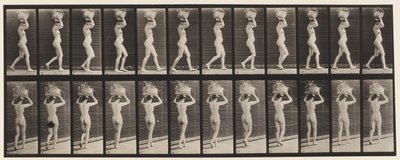 Płyta 33. Chodzenie, 14 funtów. Koszyk na głowie, z podniesionymi rękami, 1872-1885 autorstwa Eadweard Muybridge