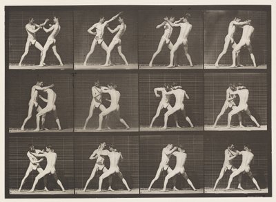 Płyta 340. Boks; Otwarta dłoń autorstwa Eadweard Muybridge