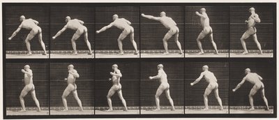 Płyta 343. Uderzenie (lewa ręka) autorstwa Eadweard Muybridge