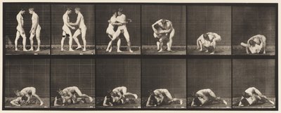 Płyta 345. Zapasy, zamek, 1885 autorstwa Eadweard Muybridge