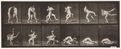 Tabliczka 347. Zapasy, grecko-rzymski, 1885 autorstwa Eadweard Muybridge