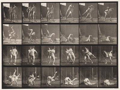 Tabliczka 348. Zapasy, grecko-rzymski, 1885 autorstwa Eadweard Muybridge