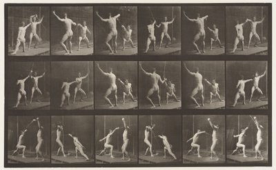 Płyta 350. Ogrodzenie autorstwa Eadweard Muybridge