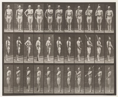 Płyta 352. Ramiona, rozkazy i ramiona do noszenia autorstwa Eadweard Muybridge