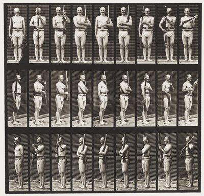 Płyta 353. Wspornik i port broni, 1872-1885 autorstwa Eadweard Muybridge