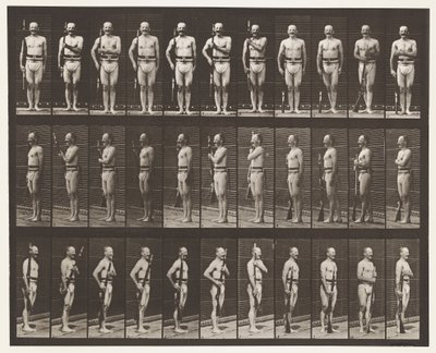 Tabliczka 354. Ramiona do noszenia, odpoczynek na paradę i ramiona do noszenia autorstwa Eadweard Muybridge