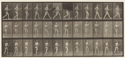 Tabliczka 359. Bagnet ładujący, 1872-1885 autorstwa Eadweard Muybridge