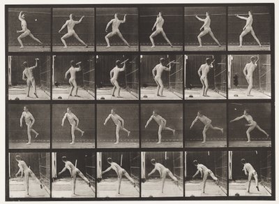 Płyta 360. Rzucanie włócznią, 1872-1885 autorstwa Eadweard Muybridge