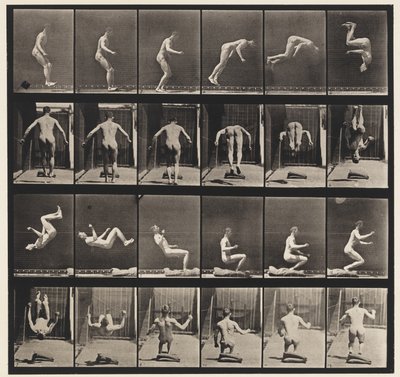 Płyta 363. Biegnąca Salto, 1885 autorstwa Eadweard Muybridge