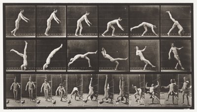 Płyta 365. Sprężyna na głowę, wtrącający się latający gołąb autorstwa Eadweard Muybridge