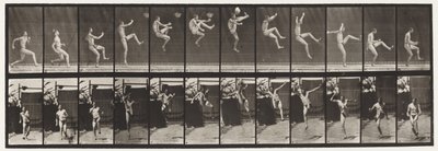 Płyta 366. Bieganie, zaczepianie i kopanie autorstwa Eadweard Muybridge