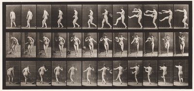 Płyta 367. Kopanie kapelusza, 1872-1885 autorstwa Eadweard Muybridge