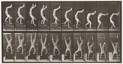 Tabliczka 368. Akrobata, schodzące schody na rękach autorstwa Eadweard Muybridge