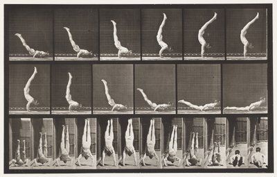 Tabliczka 372. Akrobata, wyciskanie poziome w górę autorstwa Eadweard Muybridge
