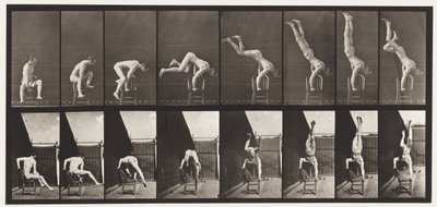 Tabliczka 373. Akrobata, wyciskanie z krzesła autorstwa Eadweard Muybridge