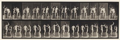 Tabliczka 375. Kowale, dwa modele, kucie w kowadle autorstwa Eadweard Muybridge