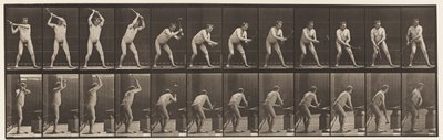 Tabliczka 376. Kowal, Kucie w kowadle, Dwie ręce, 1872-1885 autorstwa Eadweard Muybridge