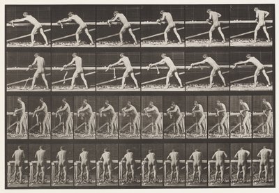 Tabliczka 379. Cieśla, Struganie deski, 1872-1885 autorstwa Eadweard Muybridge