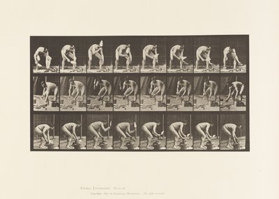 Płyta 381. Murarz, układanie cegły autorstwa Eadweard Muybridge