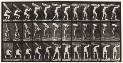 Płyta 383. Podnoszenie kłody na ramieniu autorstwa Eadweard Muybridge