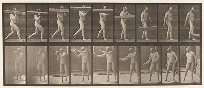 Płyta 384. Podnoszenie kłody na ramieniu autorstwa Eadweard Muybridge
